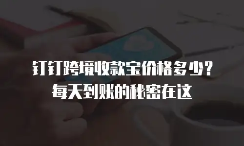 钉钉跨境收款宝价格多少？每天到账的秘密在这