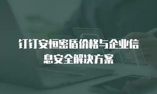 钉钉安恒密盾价格与企业信息安全解决方案
