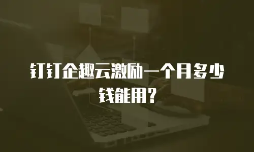 钉钉企趣云激励一个月多少钱能用？
