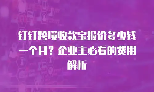 钉钉跨境收款宝报价多少钱一个月？企业主必看的费用解析