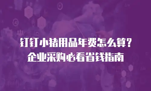 钉钉小猪用品年费怎么算？企业采购必看省钱指南