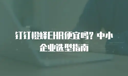钉钉橙蜂EHR便宜吗？中小企业选型指南