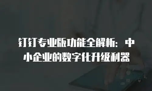 钉钉专业版功能全解析：中小企业的数字化升级利器