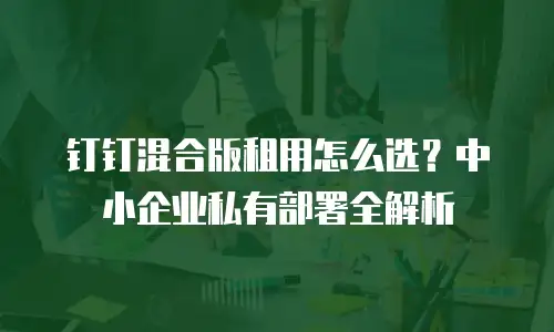 钉钉混合版租用怎么选？中小企业私有部署全解析