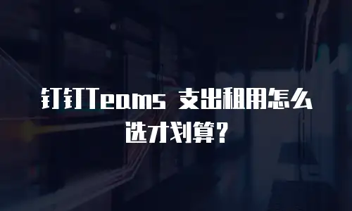 钉钉Teams 支出租用怎么选才划算？