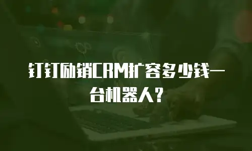 钉钉励销CRM扩容多少钱一台机器人？