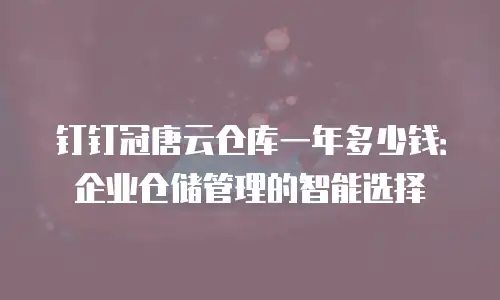 钉钉冠唐云仓库一年多少钱：企业仓储管理的智能选择