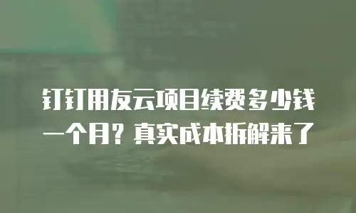 钉钉用友云项目续费多少钱一个月？真实成本拆解来了