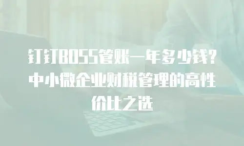 钉钉BOSS管账一年多少钱？中小微企业财税管理的高性价比之选