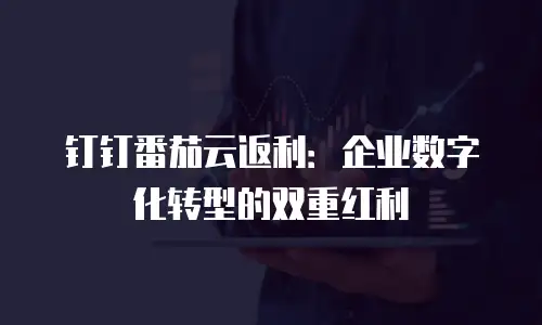 钉钉番茄云返利：企业数字化转型的双重红利