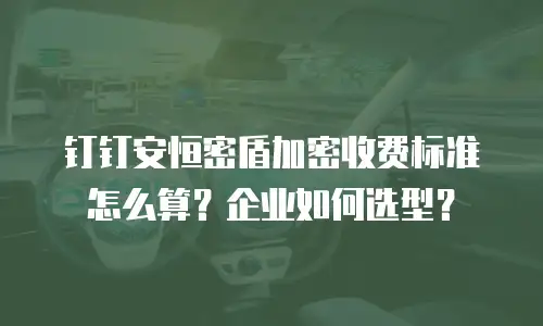 钉钉安恒密盾加密收费标准怎么算？企业如何选型？
