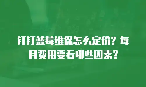 钉钉蓝莓维保怎么定价？每月费用要看哪些因素？