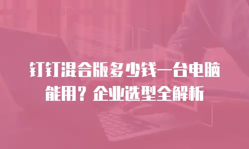 钉钉混合版多少钱一台电脑能用？企业选型全解析