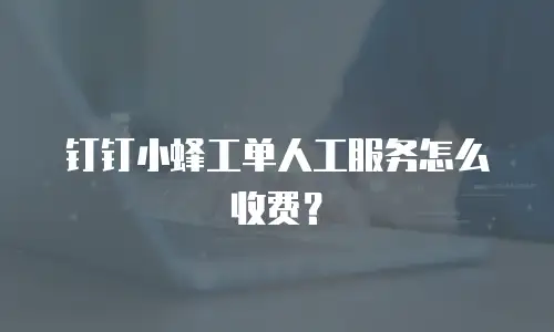 钉钉小蜂工单人工服务怎么收费？