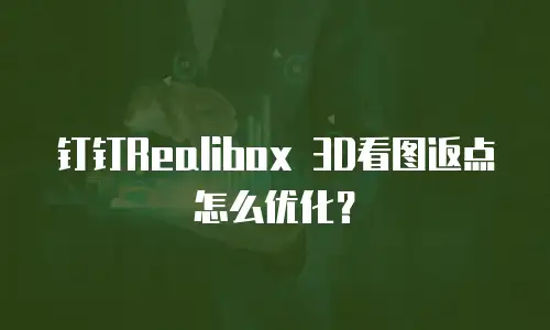 钉钉Realibox 3D看图返点怎么优化？
