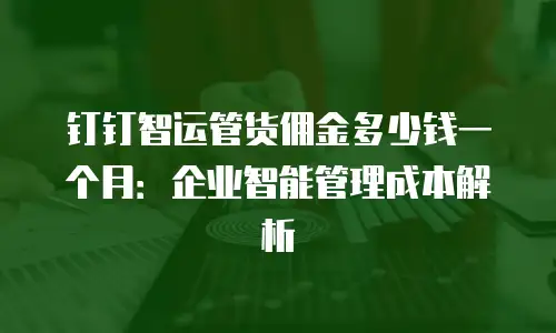 钉钉智运管货佣金多少钱一个月：企业智能管理成本解析