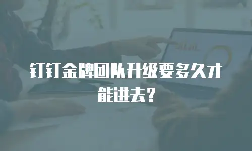 钉钉金牌团队升级要多久才能进去？