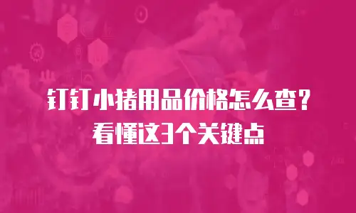 钉钉小猪用品价格怎么查？看懂这3个关键点