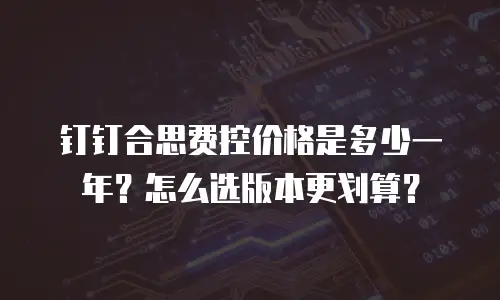 钉钉合思费控价格是多少一年？怎么选版本更划算？