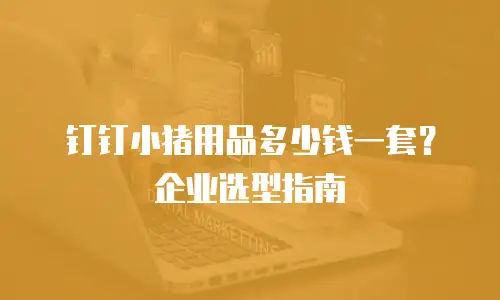 钉钉小猪用品多少钱一套？企业选型指南