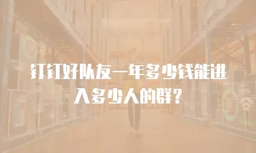 钉钉好队友一年多少钱能进入多少人的群？