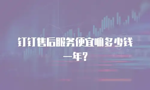 钉钉售后服务便宜嘛多少钱一年？