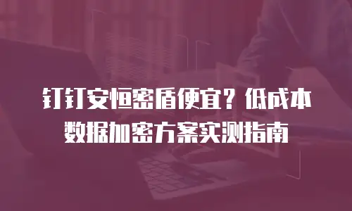钉钉安恒密盾便宜？低成本数据加密方案实测指南