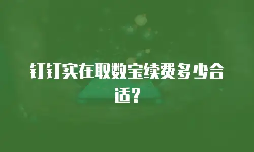 钉钉实在取数宝续费多少合适？
