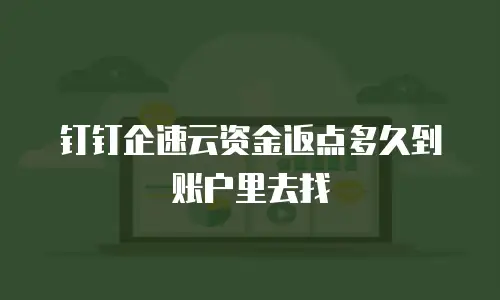 钉钉企速云资金返点多久到账户里去找