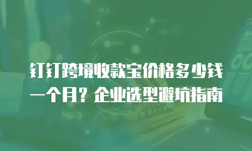 钉钉跨境收款宝价格多少钱一个月？企业选型避坑指南