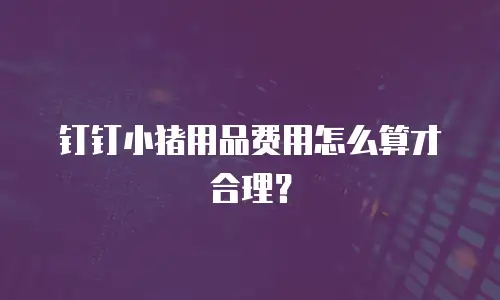 钉钉小猪用品费用怎么算才合理？