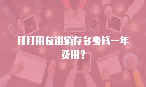 钉钉用友进销存多少钱一年费用？