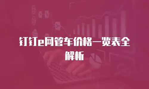 钉钉e网管车价格一览表全解析