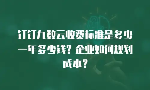 钉钉九数云收费标准是多少一年多少钱？企业如何规划成本？