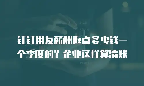 钉钉用友薪酬返点多少钱一个季度的？企业这样算清账