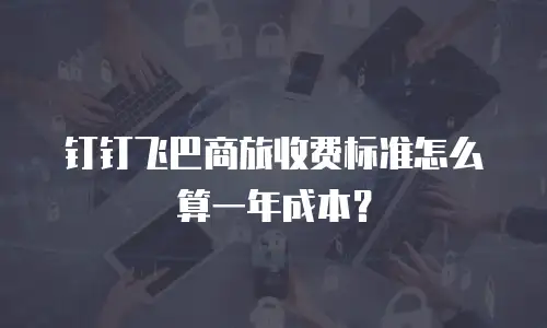 钉钉飞巴商旅收费标准怎么算一年成本？