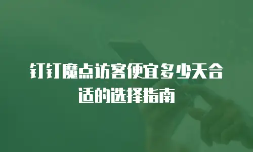 钉钉魔点访客便宜多少天合适的选择指南