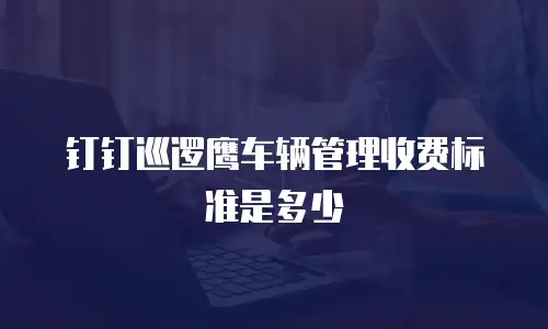 钉钉巡逻鹰车辆管理收费标准是多少