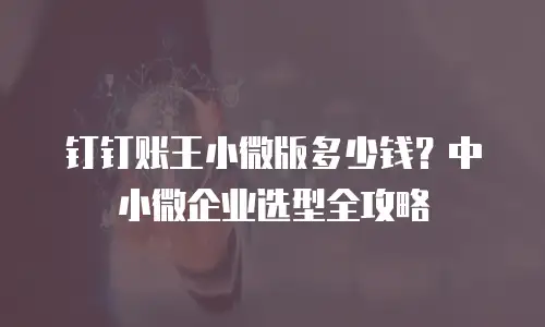 钉钉账王小微版多少钱？中小微企业选型全攻略
