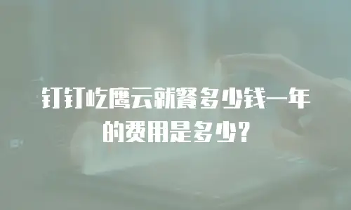 钉钉屹鹰云就餐多少钱一年的费用是多少？