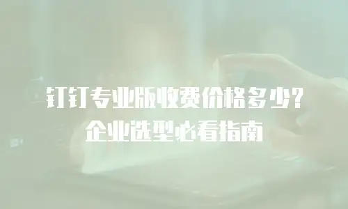 钉钉专业版收费价格多少？企业选型必看指南
