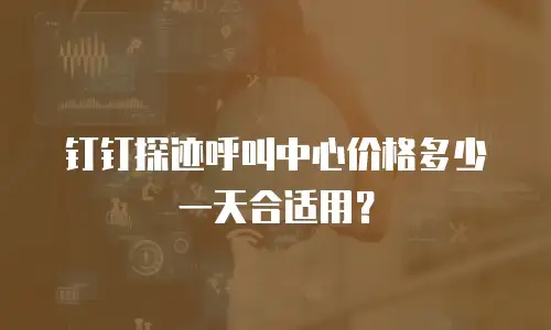钉钉探迹呼叫中心价格多少一天合适用？