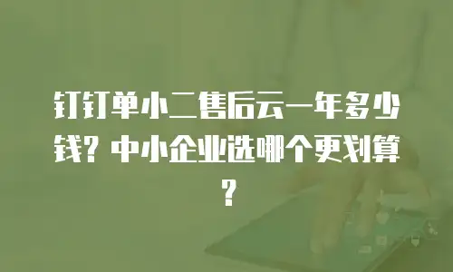 钉钉单小二售后云一年多少钱？中小企业选哪个更划算？