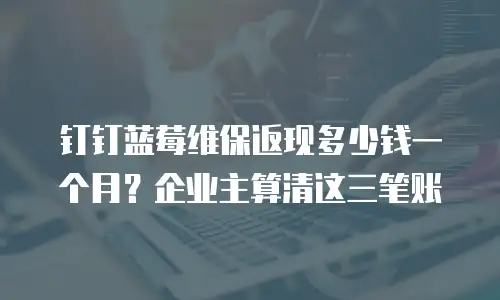 钉钉蓝莓维保返现多少钱一个月？企业主算清这三笔账