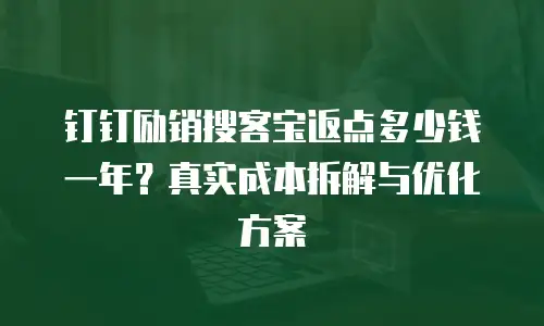 钉钉励销搜客宝返点多少钱一年？真实成本拆解与优化方案