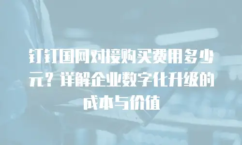 钉钉国网对接购买费用多少元？详解企业数字化升级的成本与价值