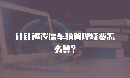 钉钉巡逻鹰车辆管理续费怎么算？
