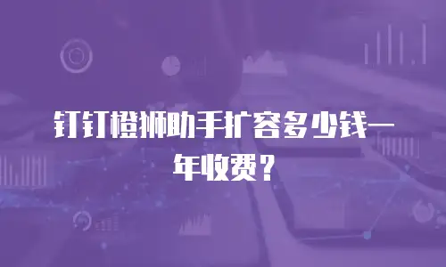 钉钉橙狮助手扩容多少钱一年收费？