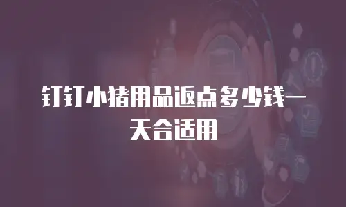 钉钉小猪用品返点多少钱一天合适用