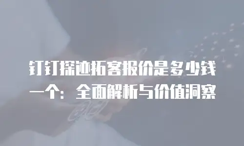 钉钉探迹拓客报价是多少钱一个：全面解析与价值洞察